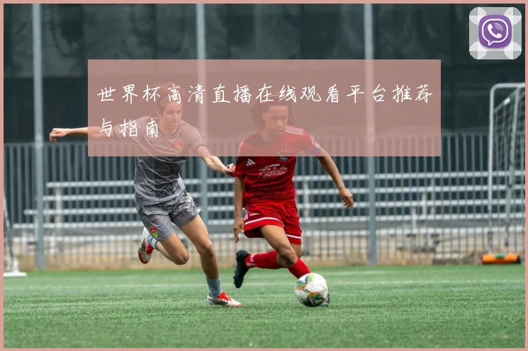 世界杯高清直播在线观看平台推荐与指南